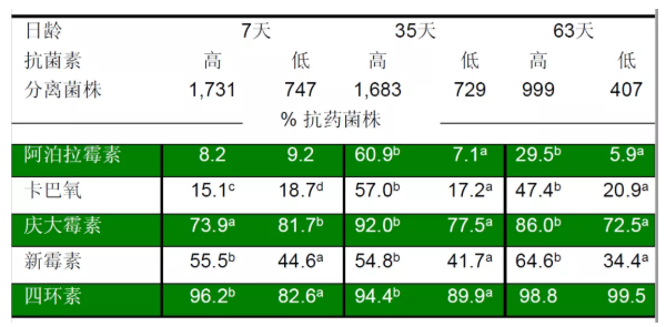 全发国际(中国)有限公司官网
