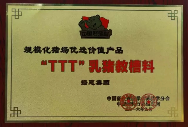 全发国际(中国)有限公司官网