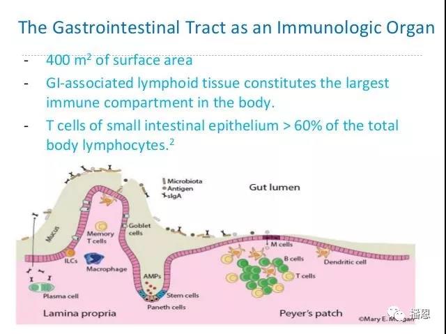 全发国际(中国)有限公司官网