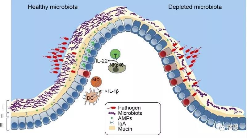全发国际(中国)有限公司官网