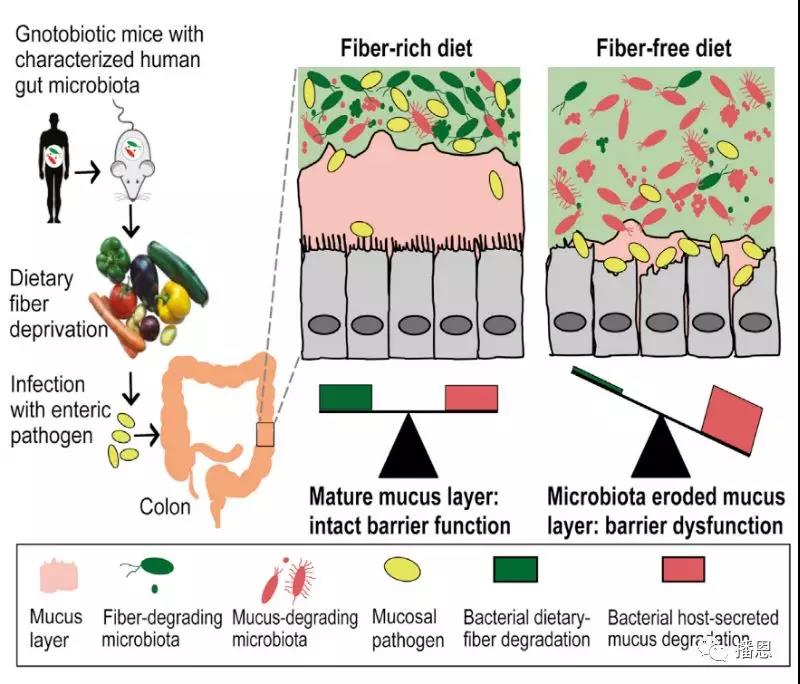 全发国际(中国)有限公司官网