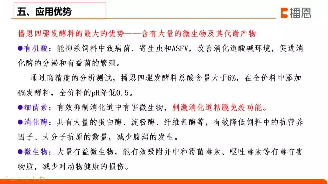 全发国际(中国)有限公司官网