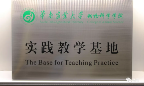 全发国际(中国)有限公司官网