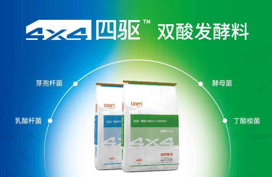 全发国际(中国)有限公司官网