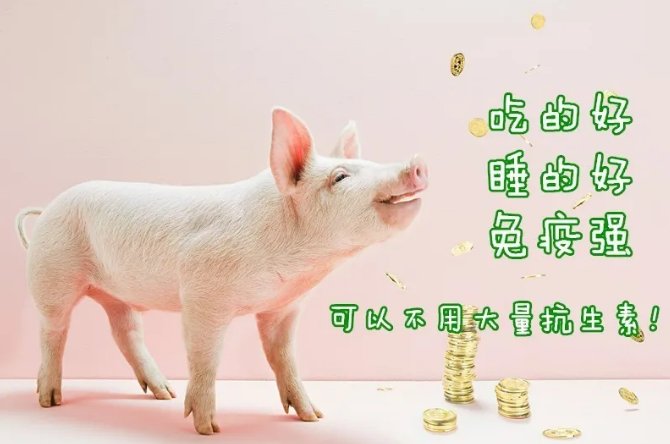 全发国际(中国)有限公司官网