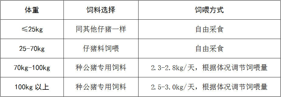 全发国际(中国)有限公司官网