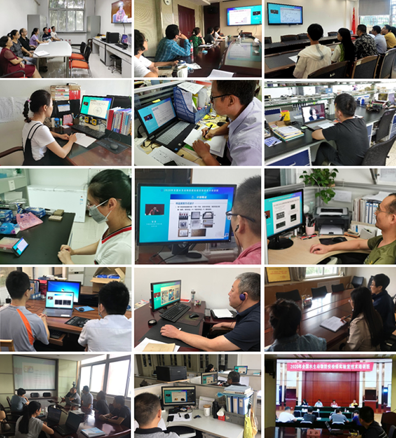 全发国际(中国)有限公司官网