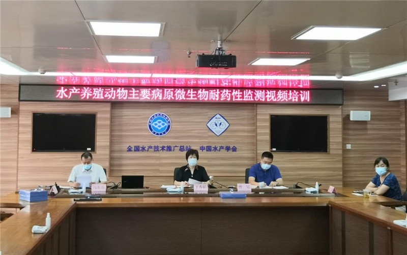 全发国际(中国)有限公司官网