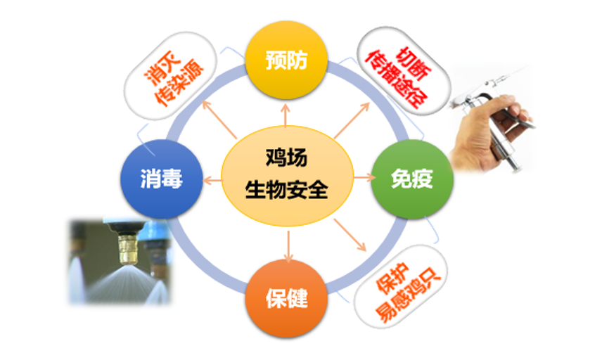 全发国际(中国)有限公司官网