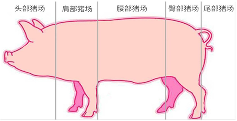 全发国际(中国)有限公司官网