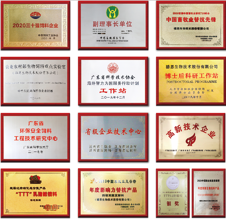 全发国际(中国)有限公司官网