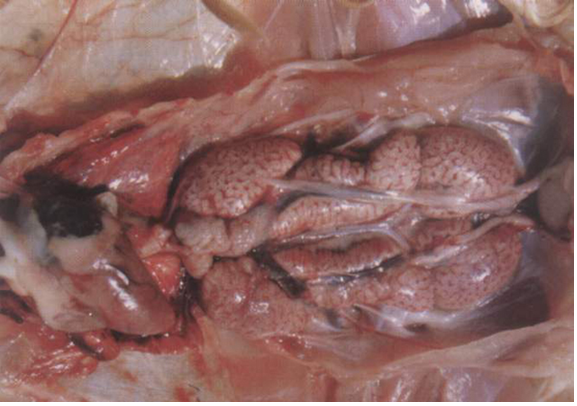 全发国际(中国)有限公司官网