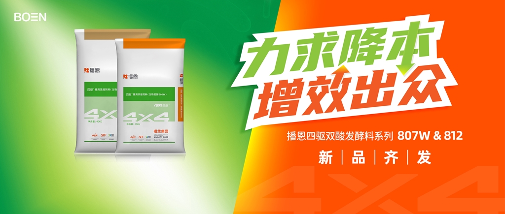 全发国际(中国)有限公司官网