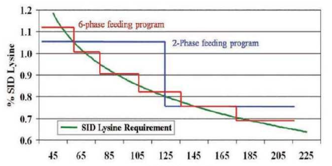 全发国际(中国)有限公司官网