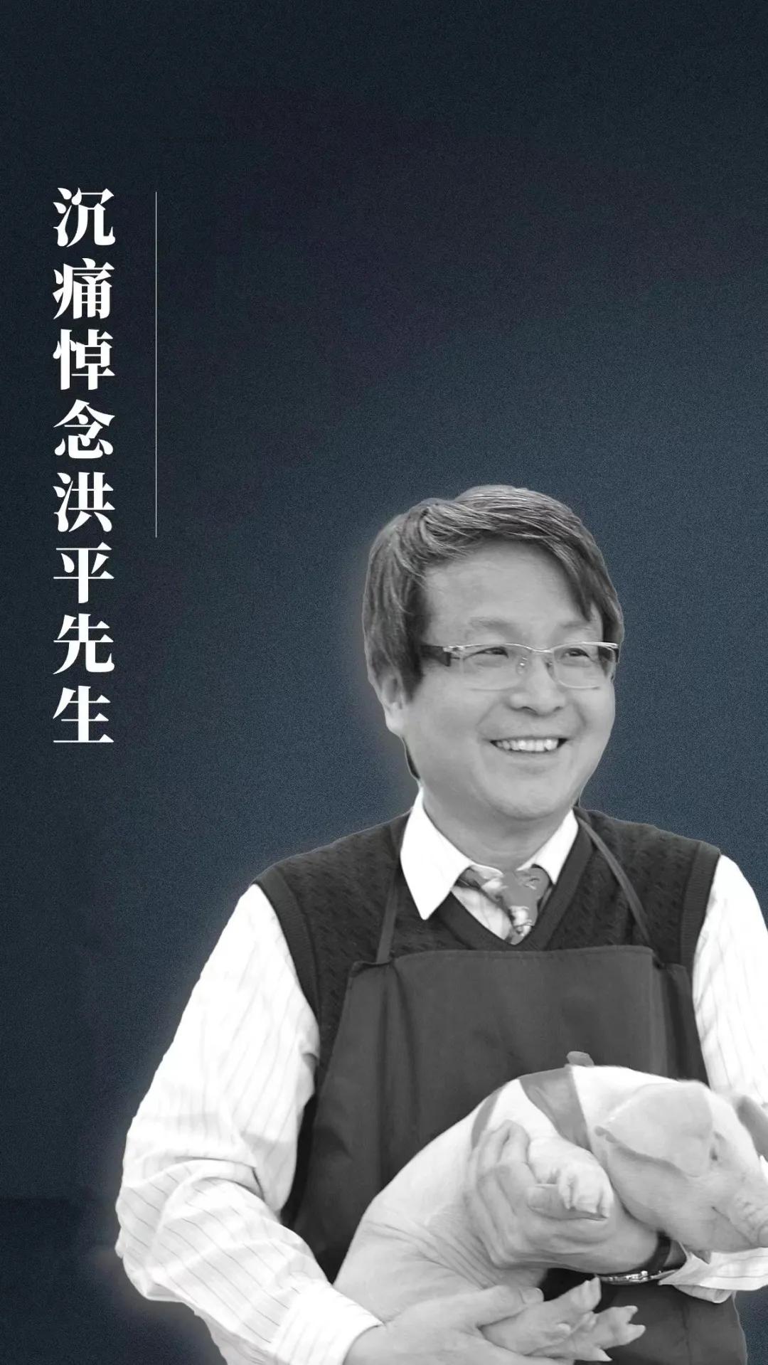 全发国际(中国)有限公司官网