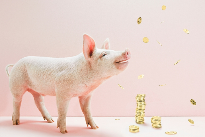 全发国际(中国)有限公司官网